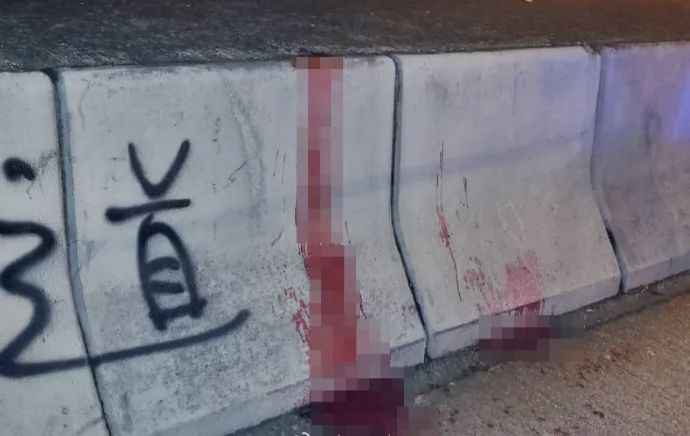 ����ı����ɱ�� ��۱�ͽ�����ײе�����С������