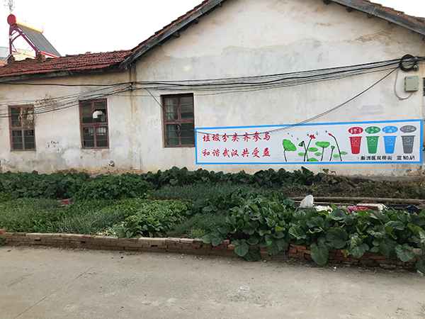 �ܲ��־磺3000���˰ε�120����ܲ� ��ũ��ʧ21��