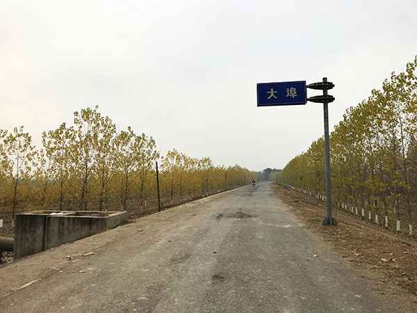�ܲ��־磺3000���˰ε�120����ܲ� ��ũ��ʧ21��